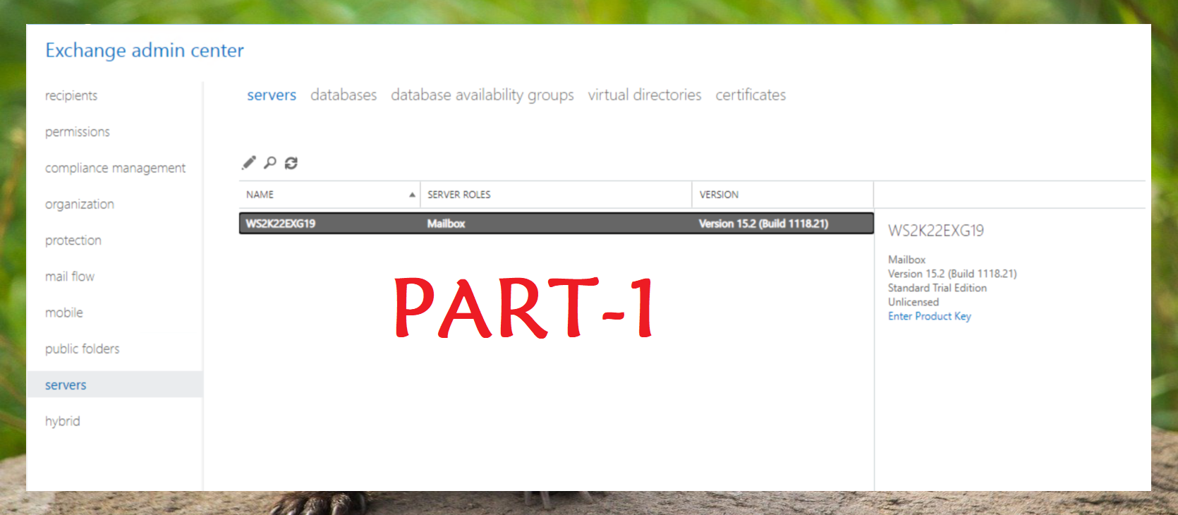 Setting Up Exchange Server 2019 on Windows Server 2022: The Ultimate Step-by-Step Guide (Part 1)